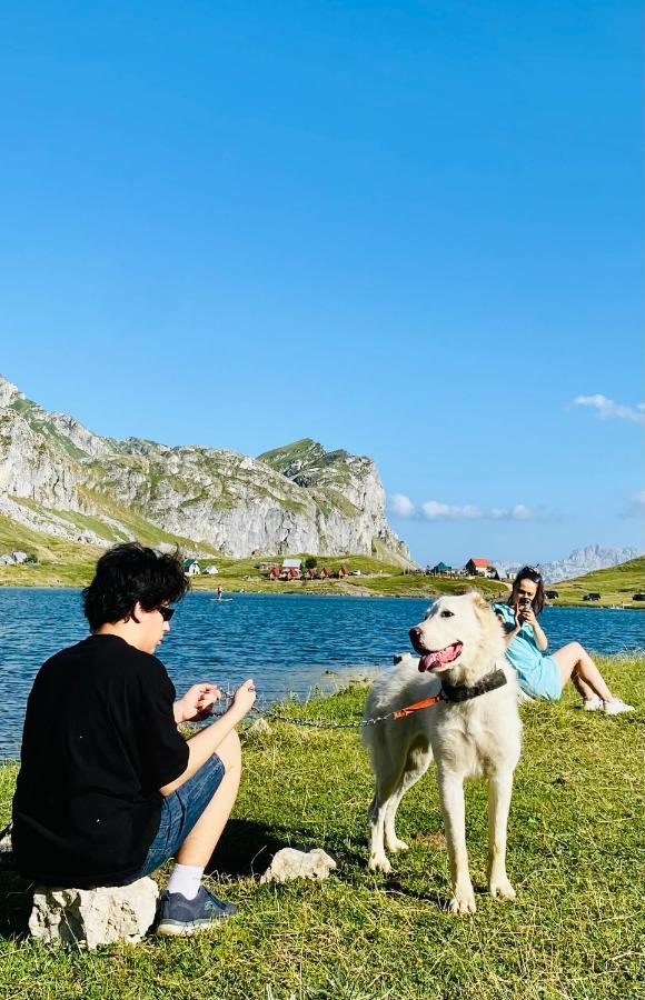 Kapetanovo Jezero Bungalov Acomodação com café da manhã Podgorica Exterior foto